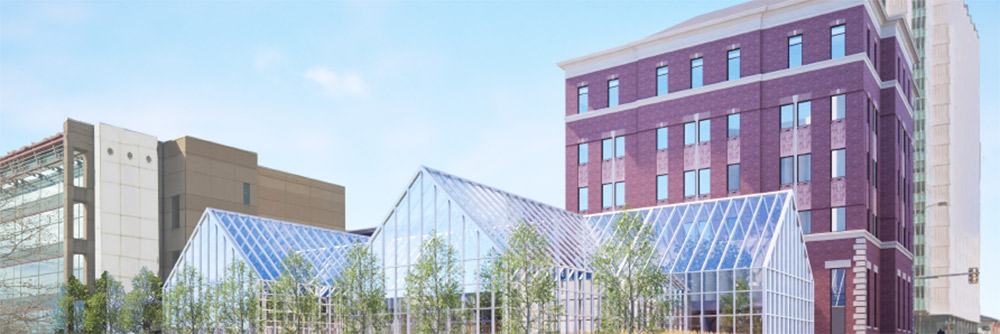 Illustration of the proposed Science Complex
